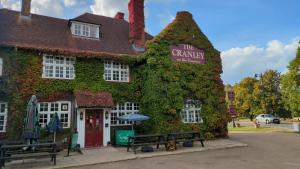 un edificio cubierto de hiedra con bancos delante en The Cranley Hotel en Cranleigh