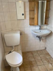 a small bathroom with a toilet and a sink at 120 Jahre altes Fachwerkhaus 