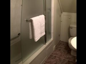 e bagno con doccia, servizi igienici e asciugamano. di Appartement Jacques Cartier a Saguenay
