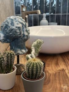 un grupo de cactus en ollas sobre una mesa en un baño en SopraBosco Calcata Art & Design Apartment en Calcata