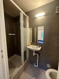 W łazience znajduje się prysznic, umywalka i toaleta. w obiekcie PrJARDIN w mieście Le Blanc-Mesnil