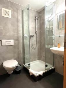 y baño con ducha, aseo y lavamanos. en Hotel Alte Apotheke en Bad Dürrenberg
