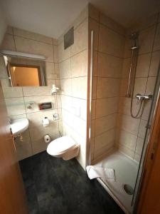 a bathroom with a shower and a toilet and a sink at Hotel Alte Apotheke in Bad Dürrenberg