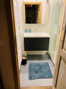 ein Bad mit einem Waschbecken und einem Spiegel in der Unterkunft Mihr's rustplek in de Abdij van Bornem in Bornem