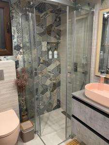 a bathroom with a shower and a toilet and a sink at Zlatar Resort & SPA in Nova Varoš