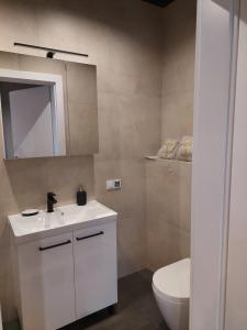 a bathroom with a white sink and a toilet at BMH Apartments Rzeszów in Rzeszów