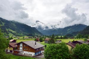 Gallery image of Bellevue Hotel & Apartments in Lenk