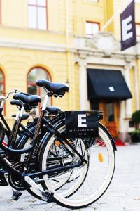 Attività di ciclismo presso l'hotel o nelle vicinanze