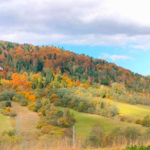 an autumn view of a hill with colorful trees at Noclegi Żurawin in Lutowiska