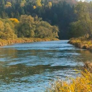 a view of a river with trees in the background at Noclegi Żurawin in Lutowiska