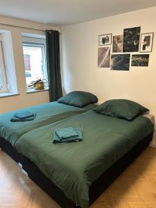 a bedroom with a large bed with two green pillows at Neu Ⅰ Ⅰ 2-Zimmer Ⅰ Zentrumslage Ⅰ Schwabach Ⅰ Nürnberg Ⅰ Roth in Schwabach
