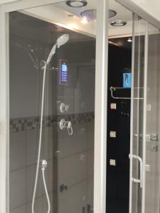 a shower in a bathroom with a glass door at Sempione Apartment in Lainate