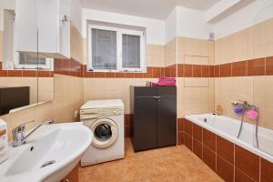 a bathroom with a washing machine and a sink at Cutie apartment in Bratislava
