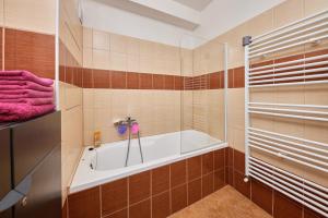 a bathroom with a bath tub and a shower at Cutie apartment in Bratislava