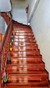 Gallery image of Seamore Pension in Galaxidhion