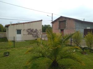 um edifício e uma palmeira num quintal em Le studio médocain em Cussac-Fort-Medoc