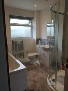 a bathroom with a shower and a toilet and a sink at Cornish Coastal Bungalow in Padstow
