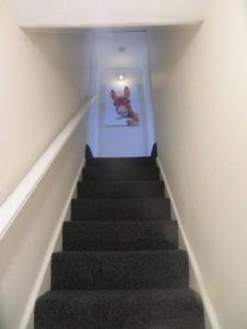 a hallway with stairs with a teddy bear on the wall at 29 Lewes Road - Darlington in Darlington