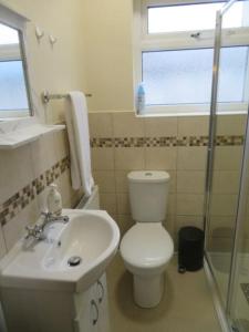 La salle de bains est pourvue de toilettes, d'un lavabo et d'une douche. dans l'établissement 29 Lewes Road - Darlington, à Darlington