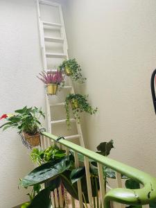 Gallery image of Appartement Ostend in Ostend