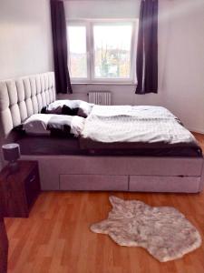 ein Bett in einem Schlafzimmer mit einem Fenster und einem Teppich in der Unterkunft Neue Kurzzeitvermietung in Geretsried