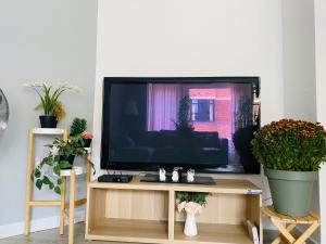 a flat screen tv on a wooden stand with potted plants at Appartement Ostend in Ostend