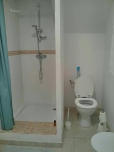 a bathroom with a shower with a toilet and a sink at La maison des créatifs in Montdardier