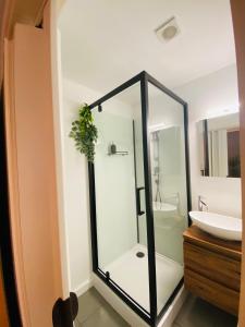 a bathroom with a glass shower and a sink at Appartement Ostend in Ostend