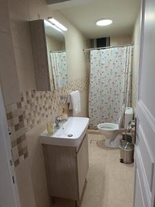 een badkamer met een wastafel en een toilet bij flora's memories appartment in Kavala