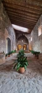 una habitación con plantas en macetas en un edificio en Finca Es Cabàs en Santa Maria del Camí