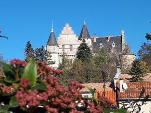 a castle in the background with pink flowers in the foreground at La maison des créatifs in Montdardier