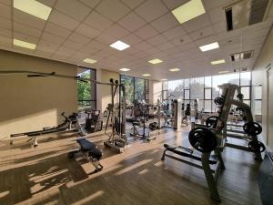Fitnes centar i/ili fitnes sadržaji u objektu Sandton Skye - luxury apartment