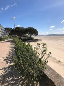 a bush on the beach next to a sandy beach at Maison vacances jardin mer proche in Guérande