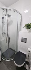 a bathroom with a shower with a black toilet at Radu's Room in Curtea de Argeş