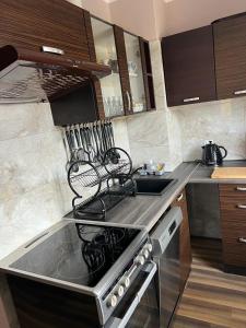 Kuchyňa alebo kuchynka v ubytovaní Apartament "U OLI"