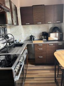 uma cozinha com armários de madeira e um forno com placa de fogão em Apartament "U OLI" em Lądek-Zdrój