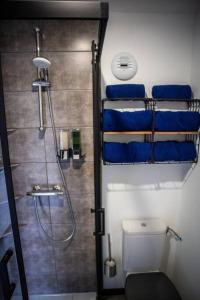 uma pequena casa de banho com chuveiro e WC em Bienvenue dans le cobalt ! em Cholonge