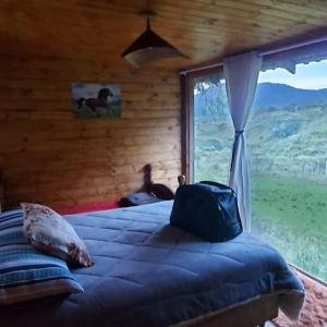 烏魯比西的住宿－Sítio Fundo Da Grota，一间卧室设有一张床和一个大窗户