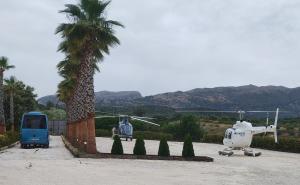 two helicopters and a palm tree and a helicopter at La Marabulla in Ronda