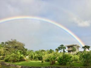 Fotografie z fotogalerie ubytování The Fruit Tree Garden Bromeliad Suite v destinaci Nuevo Arenal