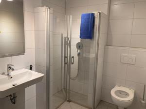 een badkamer met een douche, een toilet en een wastafel bij Ferienwohnung Gergert Nr6 in Löwenstein