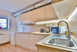 A kitchen or kitchenette at Hotel Barborka