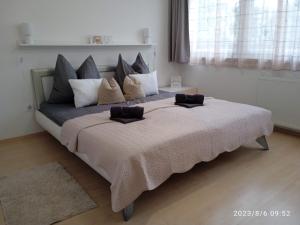 a bedroom with a large bed with pillows on it at Zoé Apartman Debrecen Nagyerdő in Debrecen