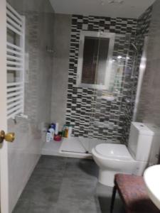 a bathroom with a toilet and a shower and a sink at Apartamento Abrantes in Madrid