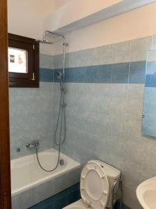 y baño con aseo, ducha y lavamanos. en Οικία αποζαρι μικρή περσα, en Kastoria
