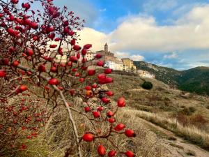 a row of red fruit trees with a castle in the background at Corazón de Javalambre 