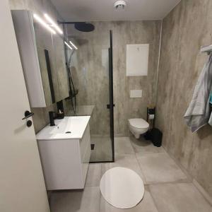 y baño con aseo, lavabo y espejo. en Ramfjord Apartment, en Tromsø