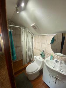 a bathroom with a toilet and a sink and a mirror at Calor y amor de hogar chilote in Castro +25 photos