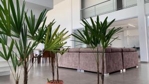 Χώρος καθιστικού στο Hospedaria Colinas +23 φωτογραφίες