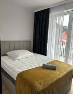 Leśne Wzgórze Apartamenty客房内的一张或多张床位